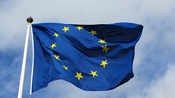 The future of the Euro area
