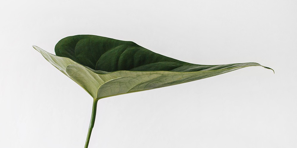 The future of ESG: Implications for public policy and investors