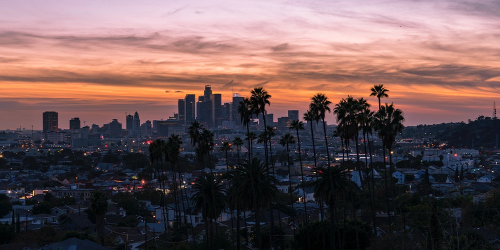 Covid-19 and the economy: A view from California
