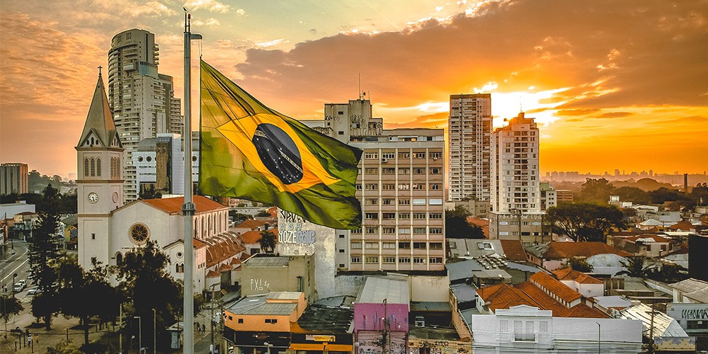 Brazil in the global economy: Covid-19 impact and responses