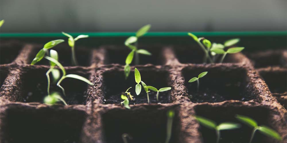 Sustainable investment in the post-pandemic economy