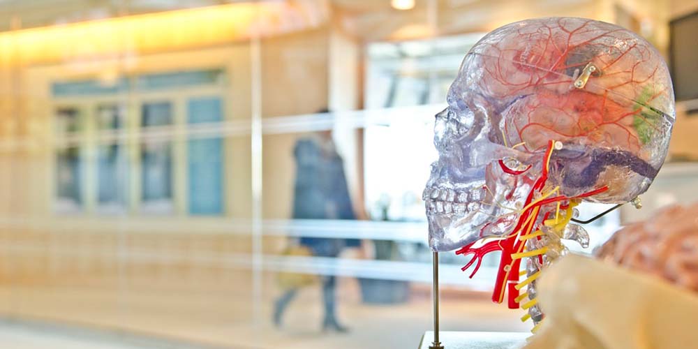 Behavioural science in financial policy-making