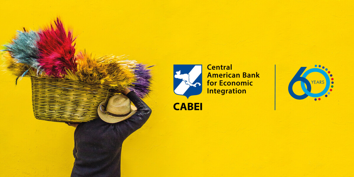 Central America: Integration, investment and financial market developments