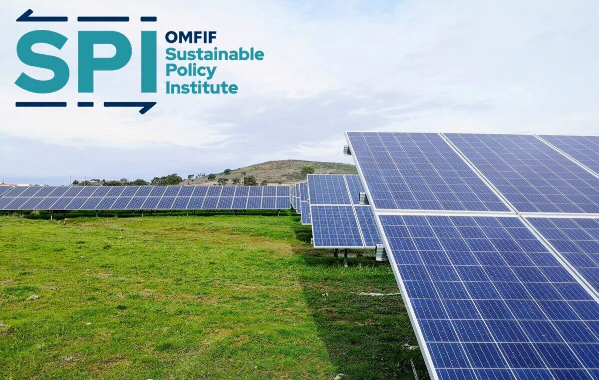 The sustainability agenda for central banks: Reflections after the IMF-WG Annual Meeting