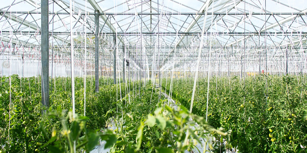 Agritech investment boom