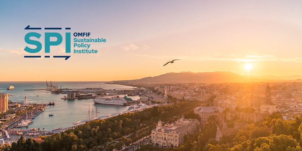 The role of governments, policy-makers and finance in building green infrastructure