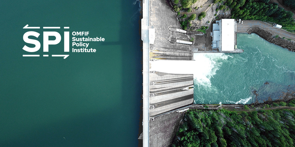 Renewable energy as an asset class