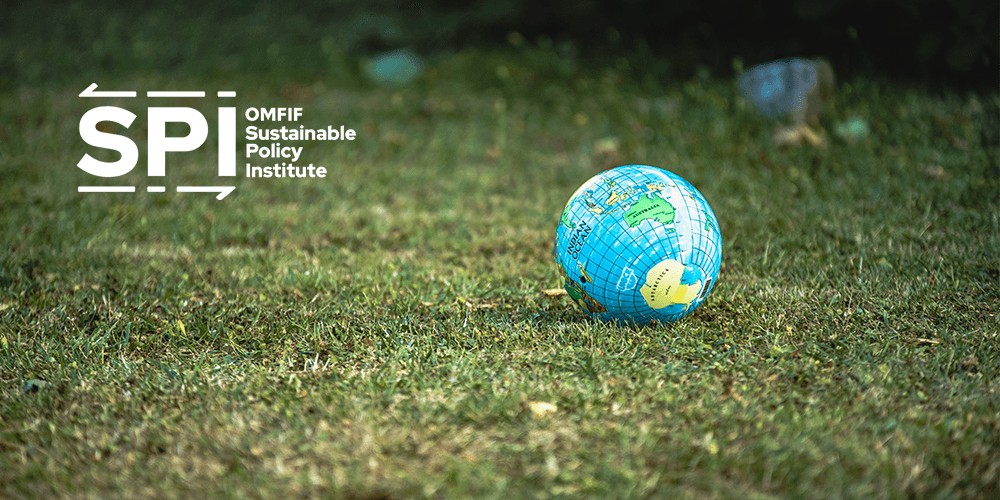 Future of sustainable data and its role in achieving global sustainability goals