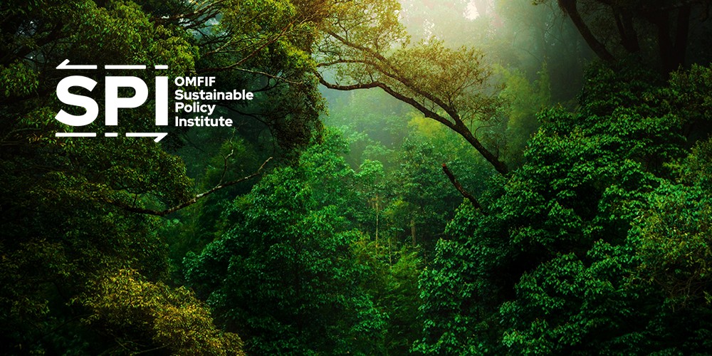 OMFIF-DZ sustainability symposium