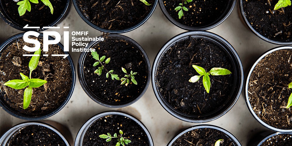 The role of central banks in greening portfolios and sustainable investment