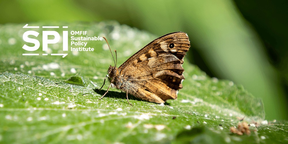 Establishing metrics for biodiversity and ecological transition