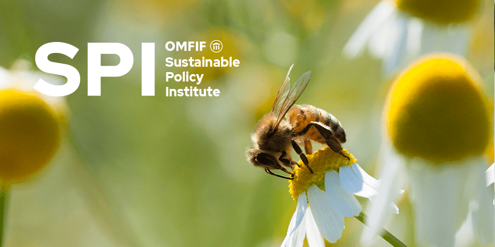 Beyond climate: biodiversity and nature