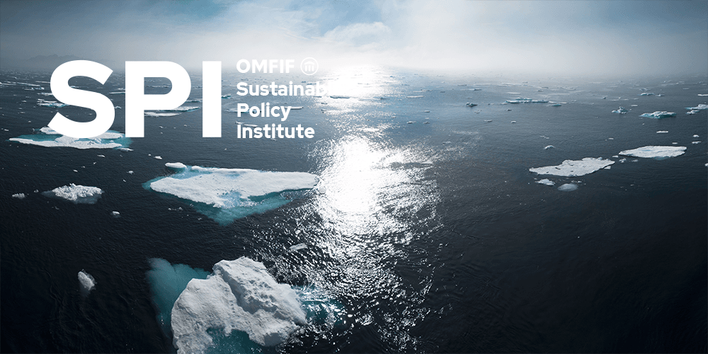 Leveraging finance, capital and policies for climate action in emerging markets