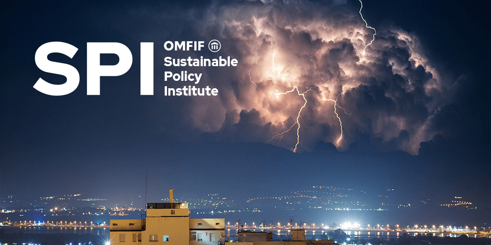 Modelling the economic impact of climate change: is a stagflationary shock looming?