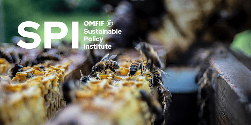 Evolving the financial system: integrating biodiversity into financial risk and regulation