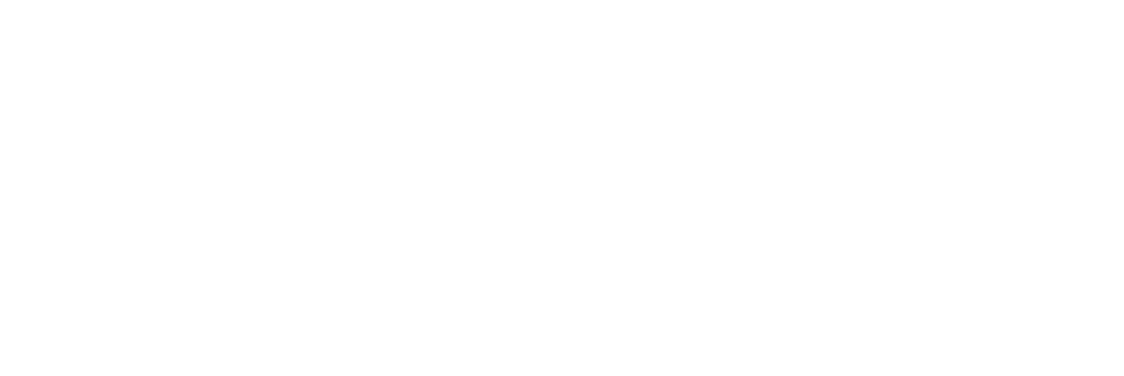 WSI WHITE LOGO-02