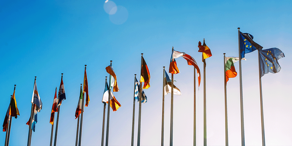 Responding to economic and monetary crises in the euro area