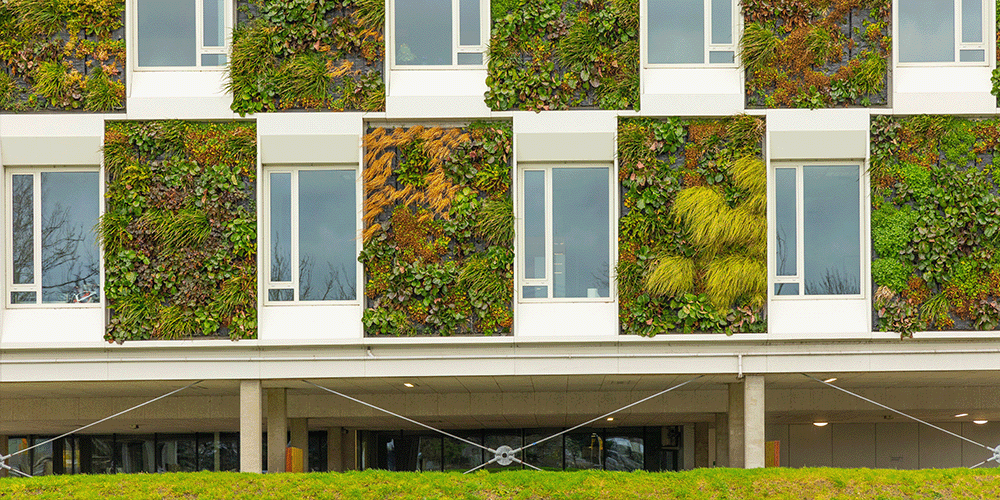 Driving ESG standards and transition: the role of the regulator