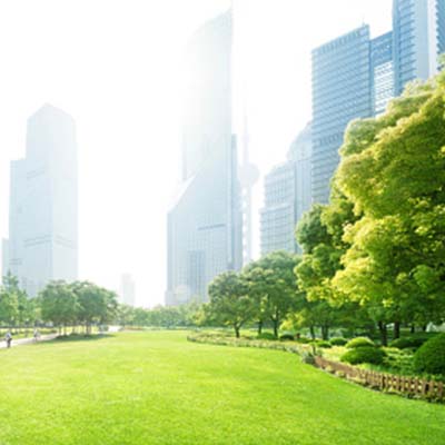 focm_ch5_China