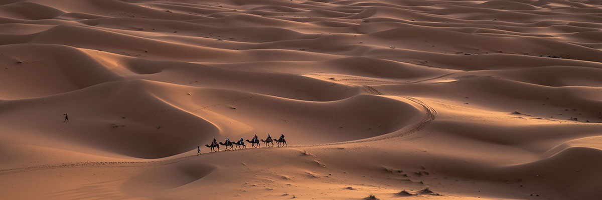 SPI_review_web_0000_jeff-jewiss-XqGQCsiAjaI-unsplash SPI_review_web_0000_jeff-jewiss-XqGQCsiAjaI-unsplash