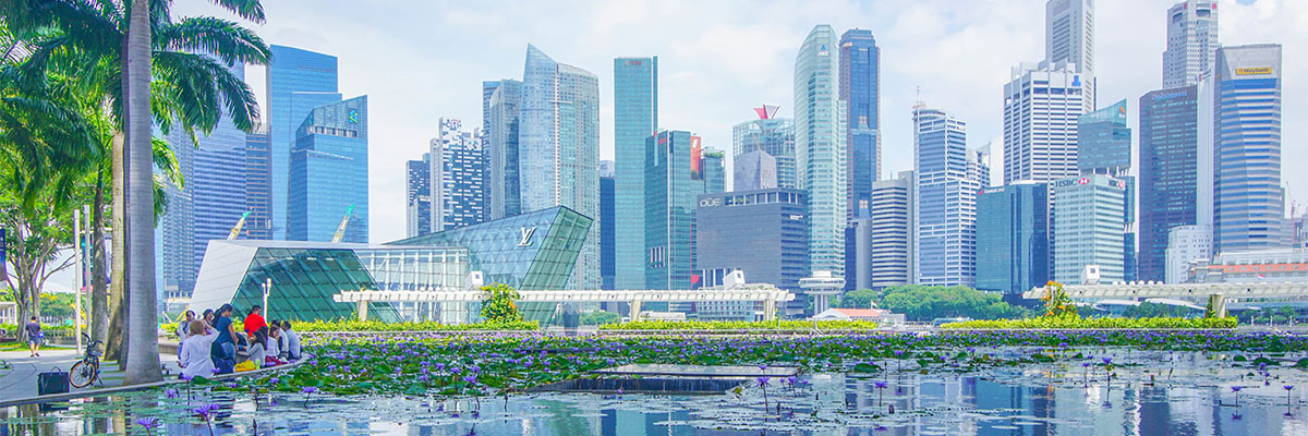 SPI_review_web_0002_stephanie-yeh-q2akltiB_XY-unsplash SPI_review_web_0002_stephanie-yeh-q2akltiB_XY-unsplash