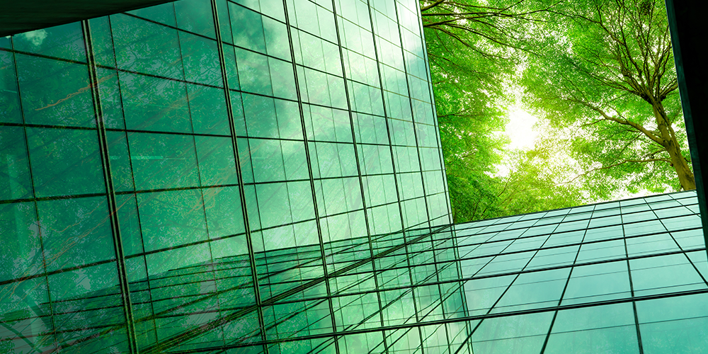 Moving beyond climate: integrating biodiversity into financial markets