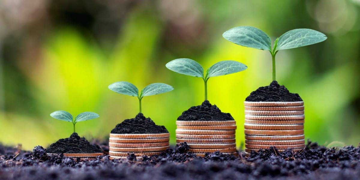 Diversity and financial inclusion in the financial sector