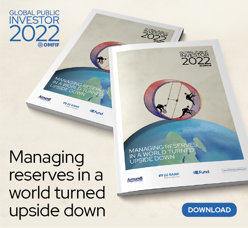 GPI 2022 box for institute home pages