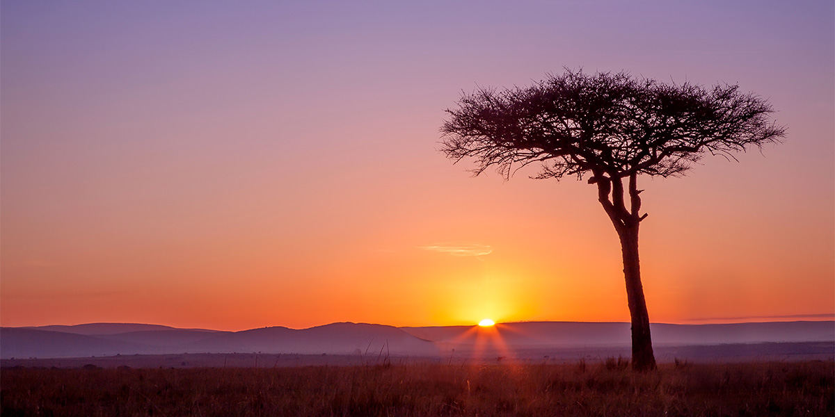 Africa Financial Markets Index Launch virtual (Washington D.C)