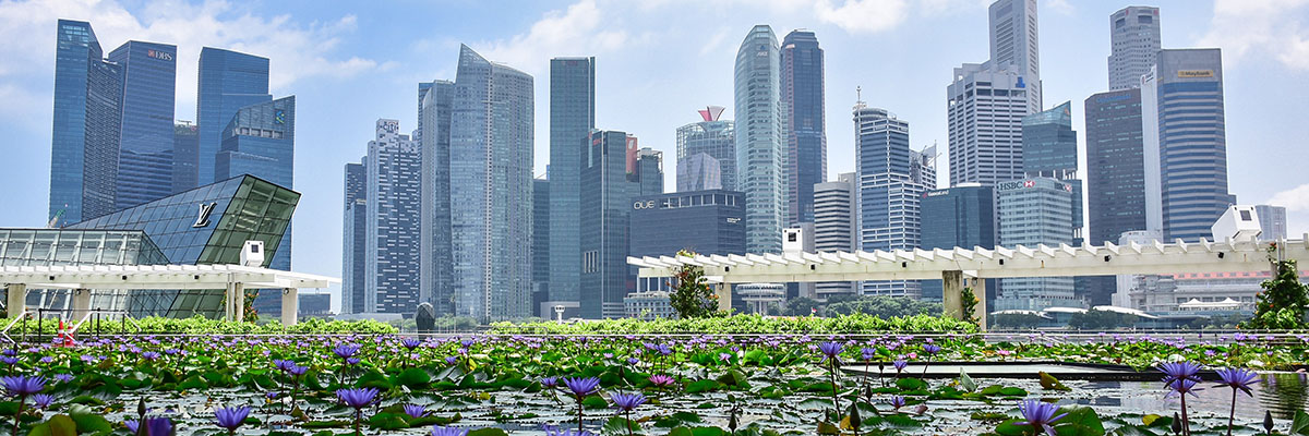 imagesforspijourna_0002_robynne-hu-Ca54ex3QcEc-unsplash imagesforspijourna_0002_robynne-hu-Ca54ex3QcEc-unsplash