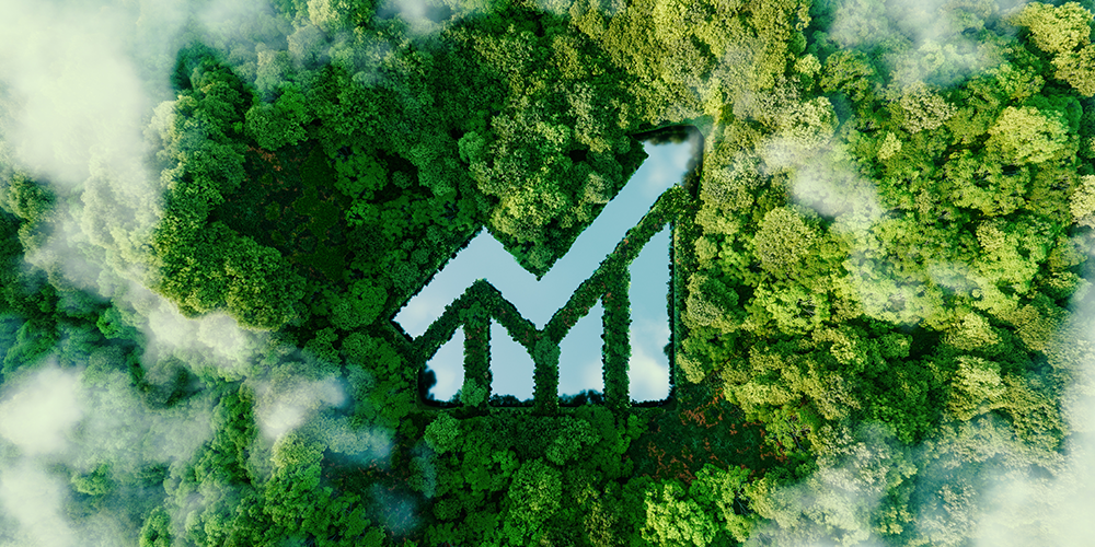 Webiste graphic - climate finance