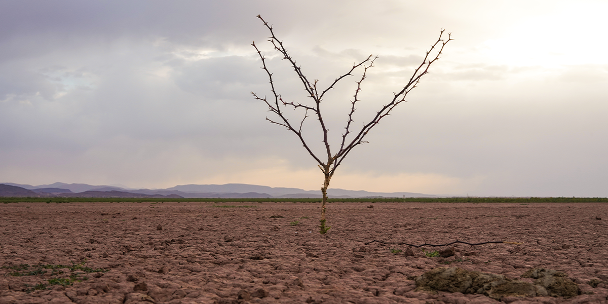Moving beyond fear to action: financial markets and COP27