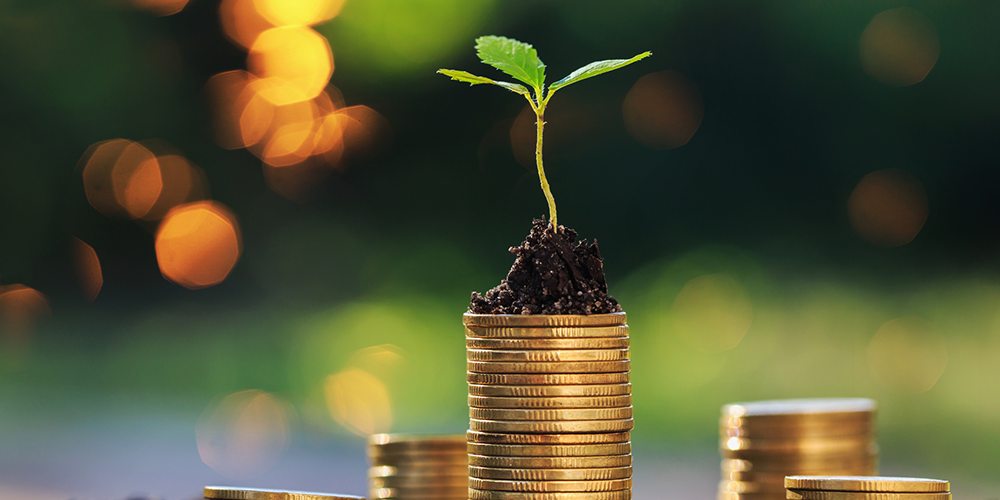 Greening portfolios and reducing carbon footprints: The role of sovereign issuers and central banks (Virtual)