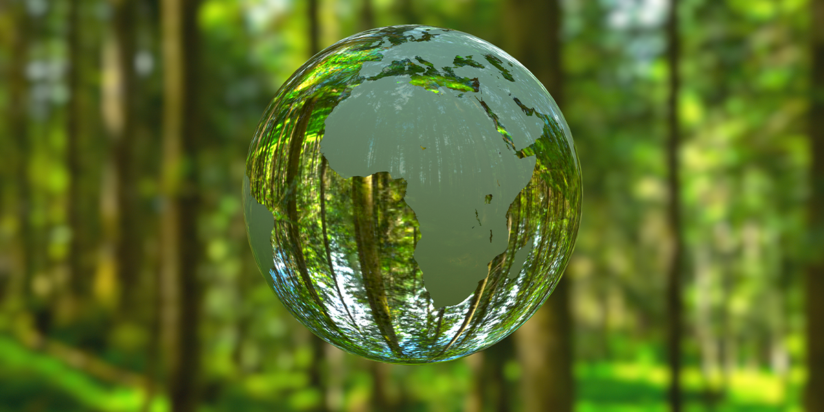 Sustainable finance in Africa: Policies, standards and driving green capital markets