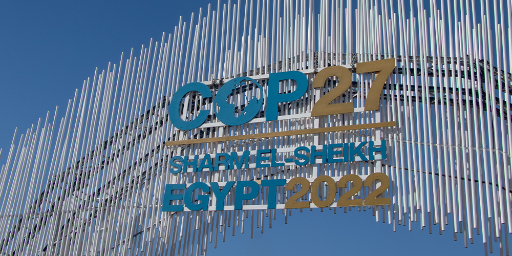 Cop27 loss and damage newweb