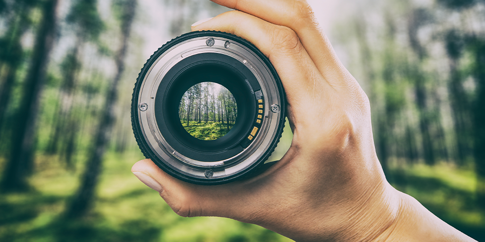 Focus on nature: global biodiversity framework and scaling up nature finance