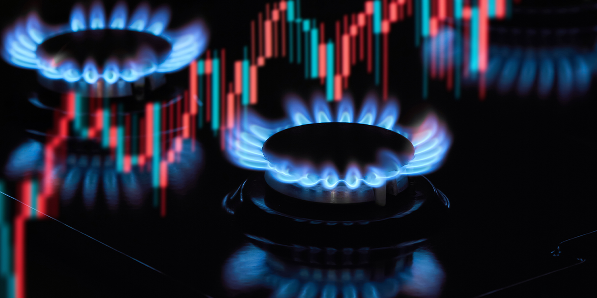 global energy crises website image