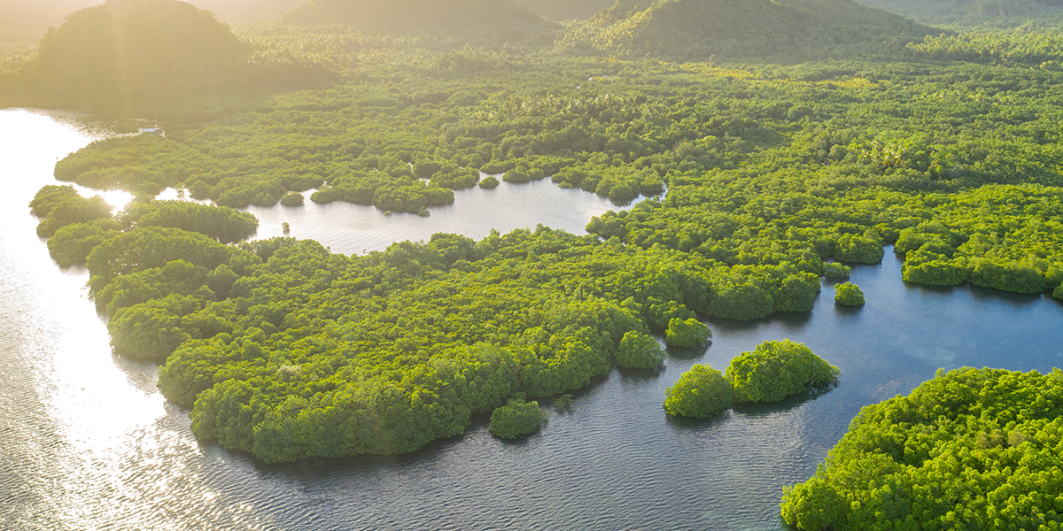Climate risk and financial stability with Banco Central do Brasil