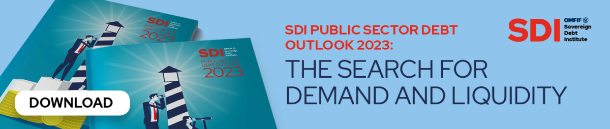 sdi idebt survey 2023 SIG