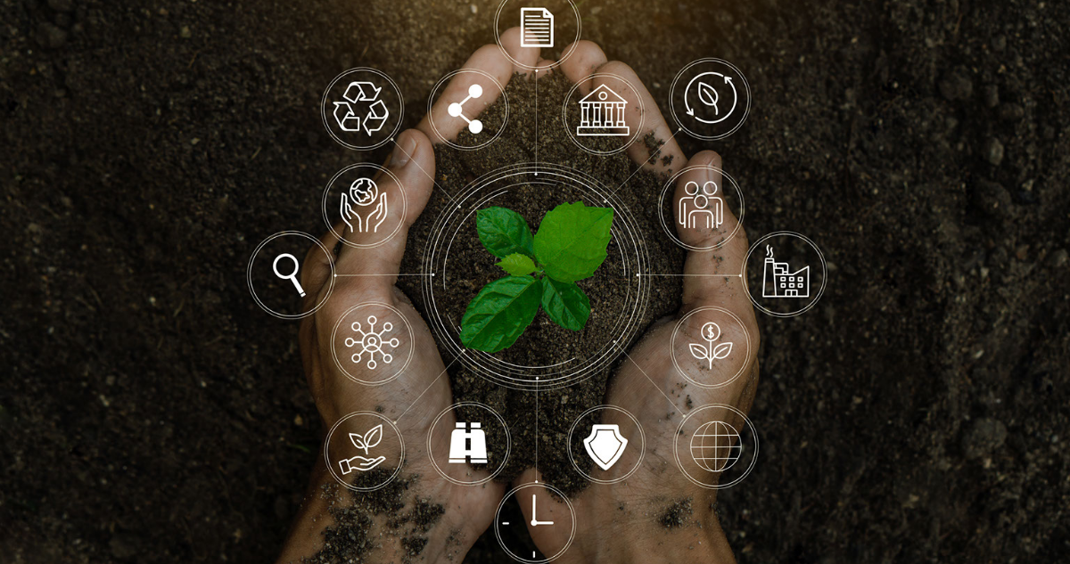 Navigating macroeconomics and the environment with Banco de México