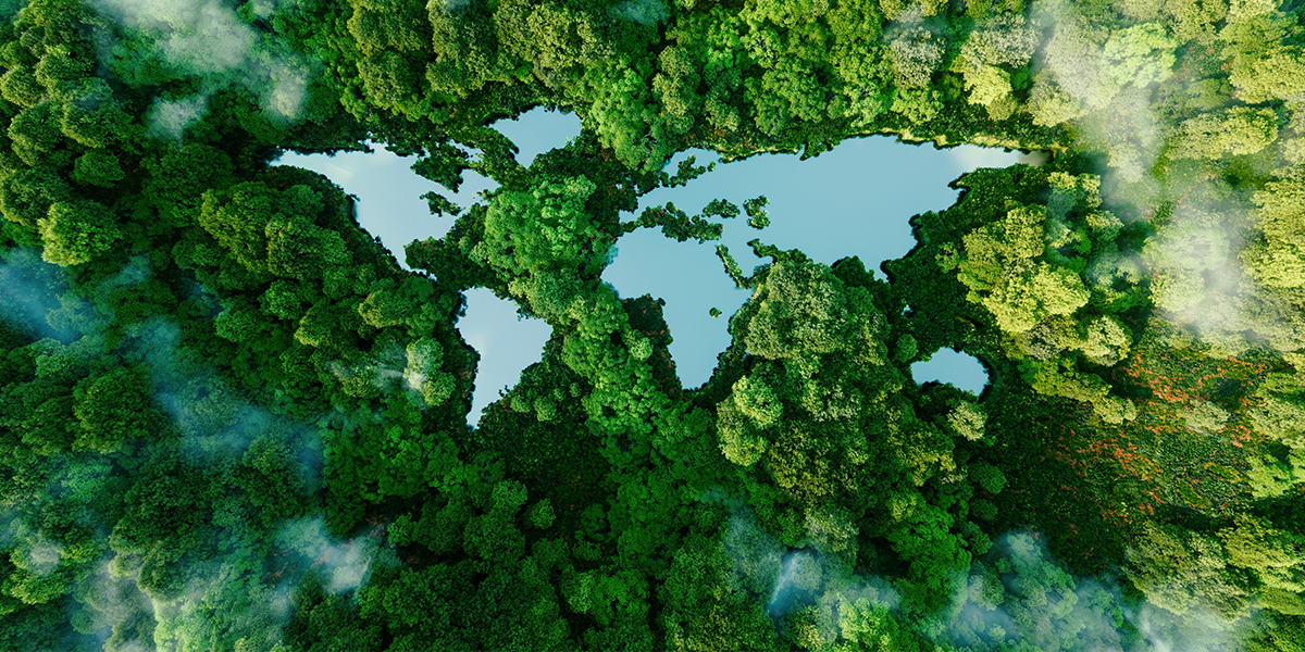 Setting the gold standard for climate transition