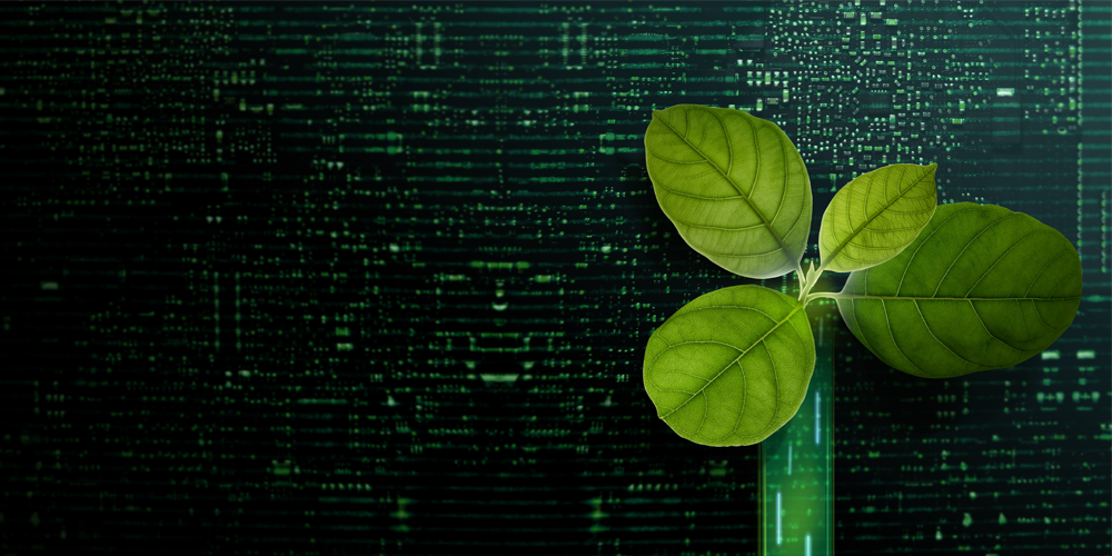 Project Genesis 2.0: leveraging blockchain technology with green finance