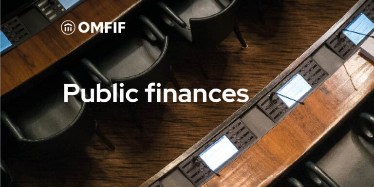 Evolution of sustainable government debt issuance