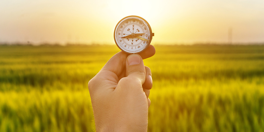 engaging consumer net zero main story