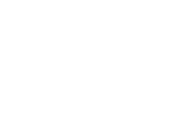 DMS 2025 logos final_DMS logo white