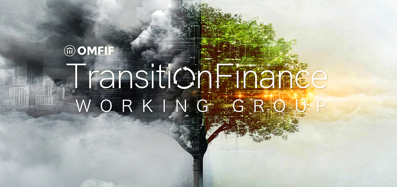 transition fin web hero