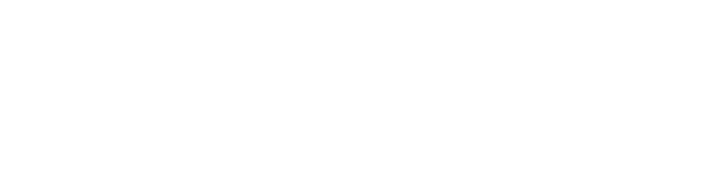 Transition Fin logo white