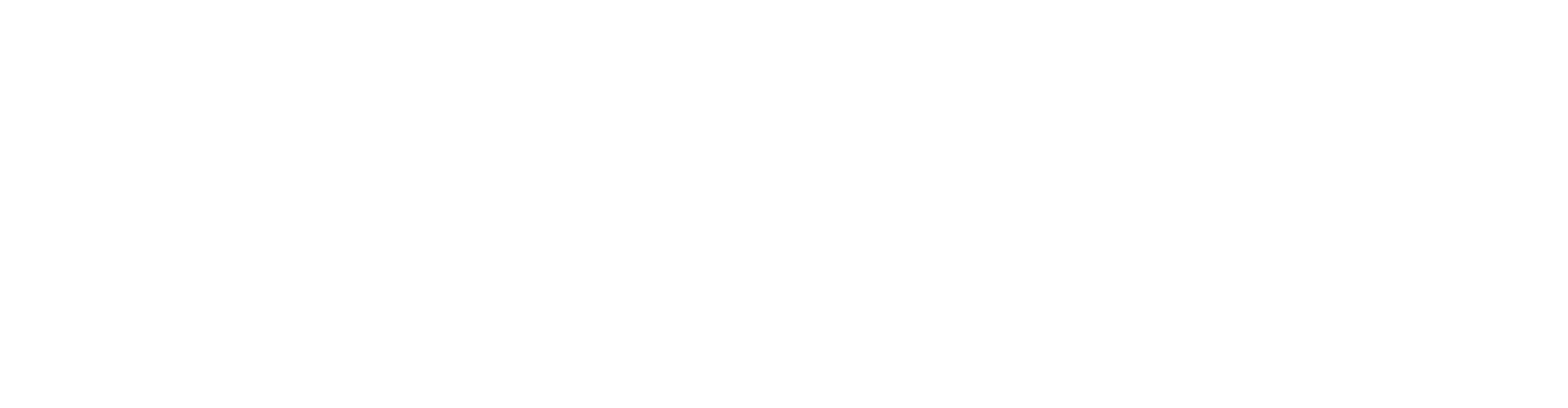 Transition Fin logo white