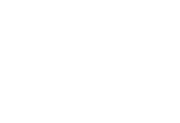 DMS logos 2026_DMS logo wht