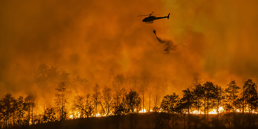 Fire fighting helicopter carry water bucket to extinguish the forest fire.